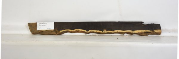 BLAF1182_1