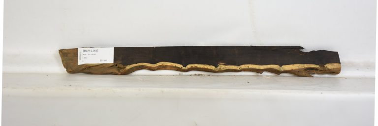 BLAF1182_1
