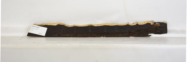 BLAF1182_2