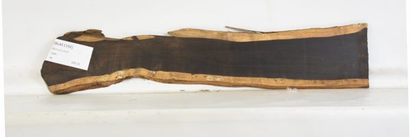 BLAF1192_2