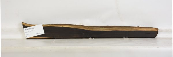 BLAF1193_1