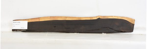 BLAF1199_1