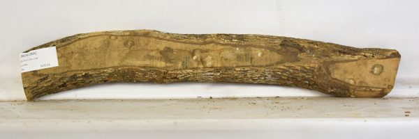 Boxwood - Image 2