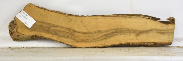 Boxwood - Image 2