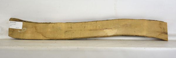 Boxwood - Image 2