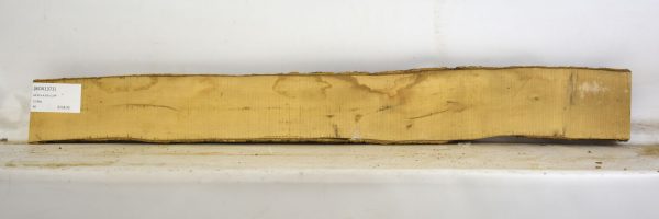 Boxwood - Image 2