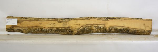 Boxwood - Image 2