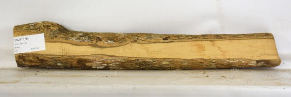 Boxwood