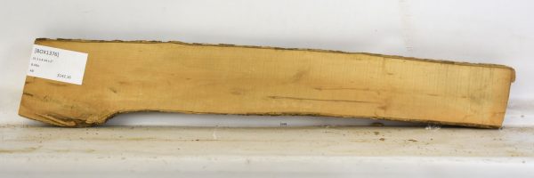 Boxwood - Image 2