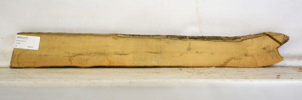 Boxwood