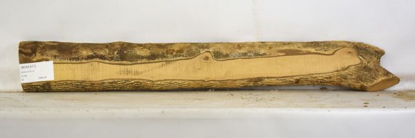 Boxwood - Image 2