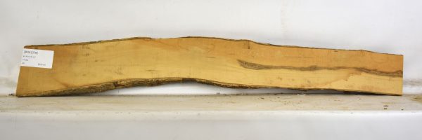 Boxwood - Image 2