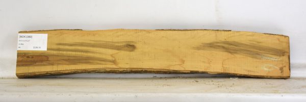 Boxwood - Image 2