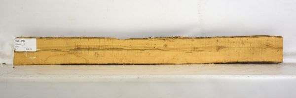 Boxwood