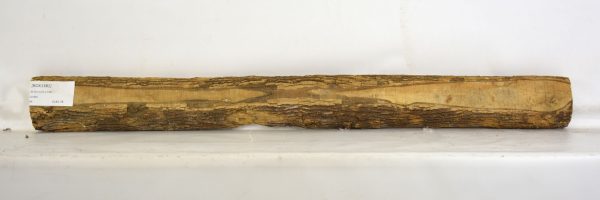 Boxwood - Image 2