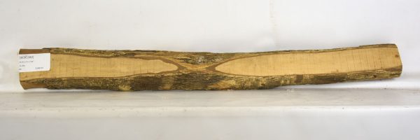 Boxwood - Image 2
