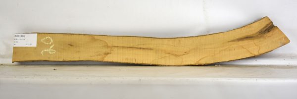Boxwood