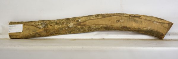 Boxwood - Image 2
