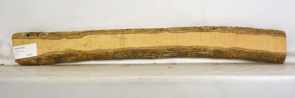 Boxwood - Image 2