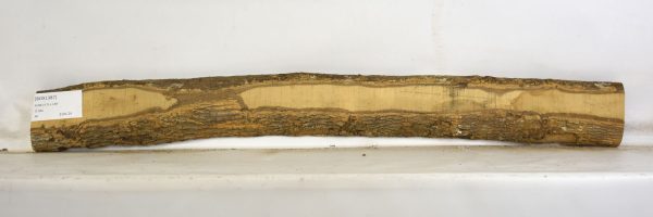 Boxwood - Image 2