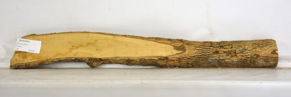 Boxwood - Image 2