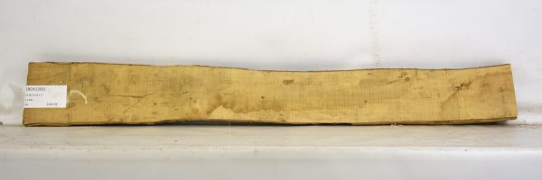 Boxwood - Image 2