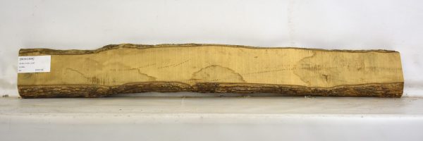 Boxwood