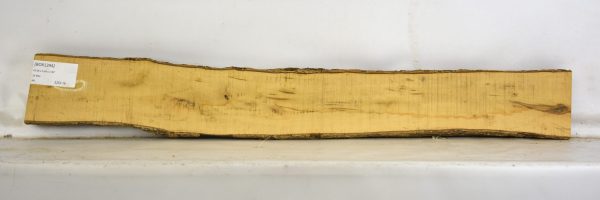 Boxwood - Image 2