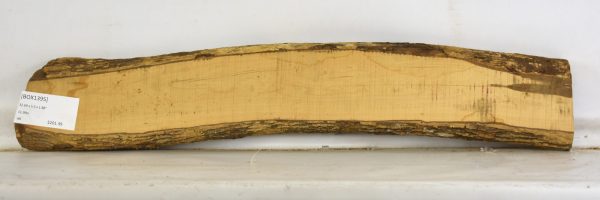 Boxwood - Image 2