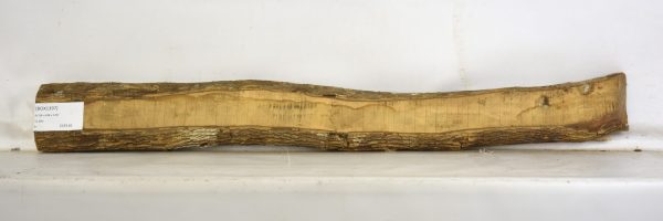 Boxwood