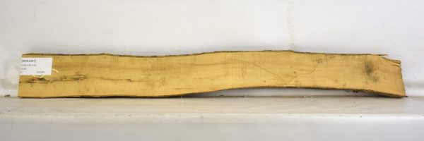 Boxwood - Image 2