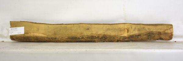 Boxwood - Image 2