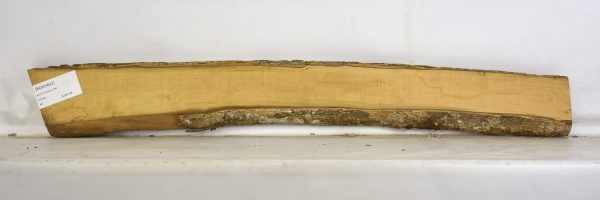 Boxwood