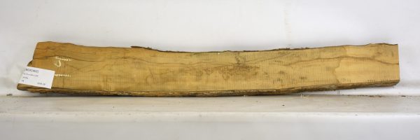 Boxwood - Image 2