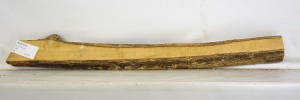 Boxwood - Image 2