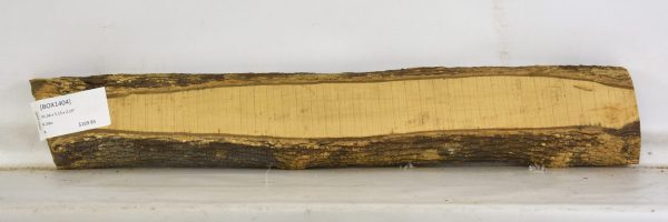 Boxwood - Image 2