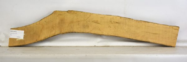 Boxwood - Image 2