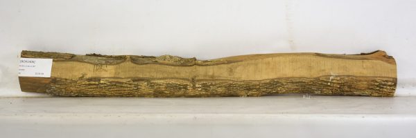 Boxwood - Image 2