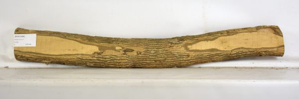 Boxwood - Image 2
