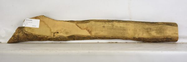 Boxwood