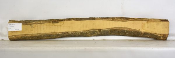 Boxwood - Image 2