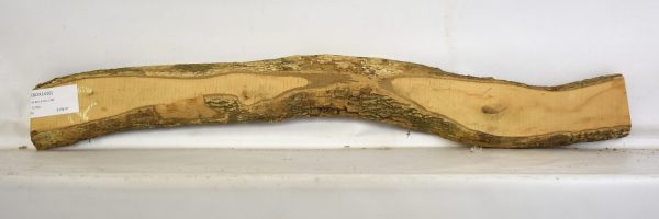 Boxwood - Image 2