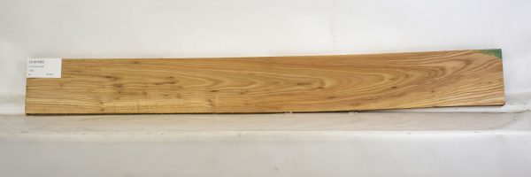 ELM1085_2