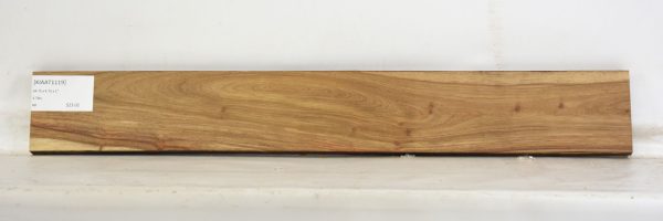 KIAAT1119_1