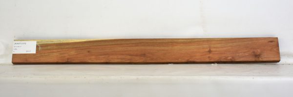 KIAAT1123_1