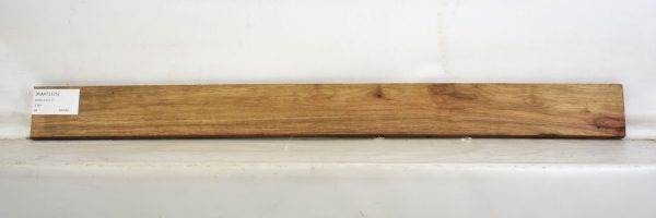 KIAAT1125_1