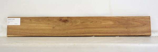 KIAAT1128_2