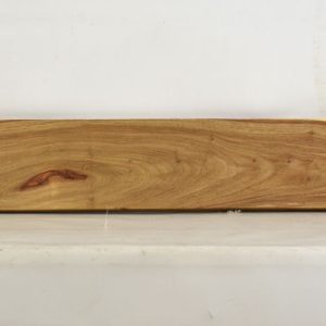 KIAAT1132_1