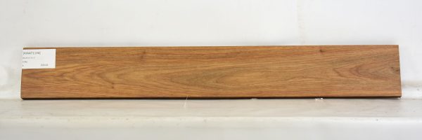KIAAT1134_1