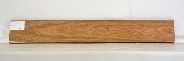KIAAT1134_2